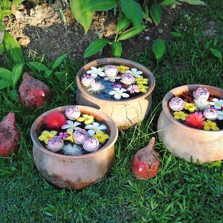 Baan Chai Thung Resort Doi Saket Luaran gambar