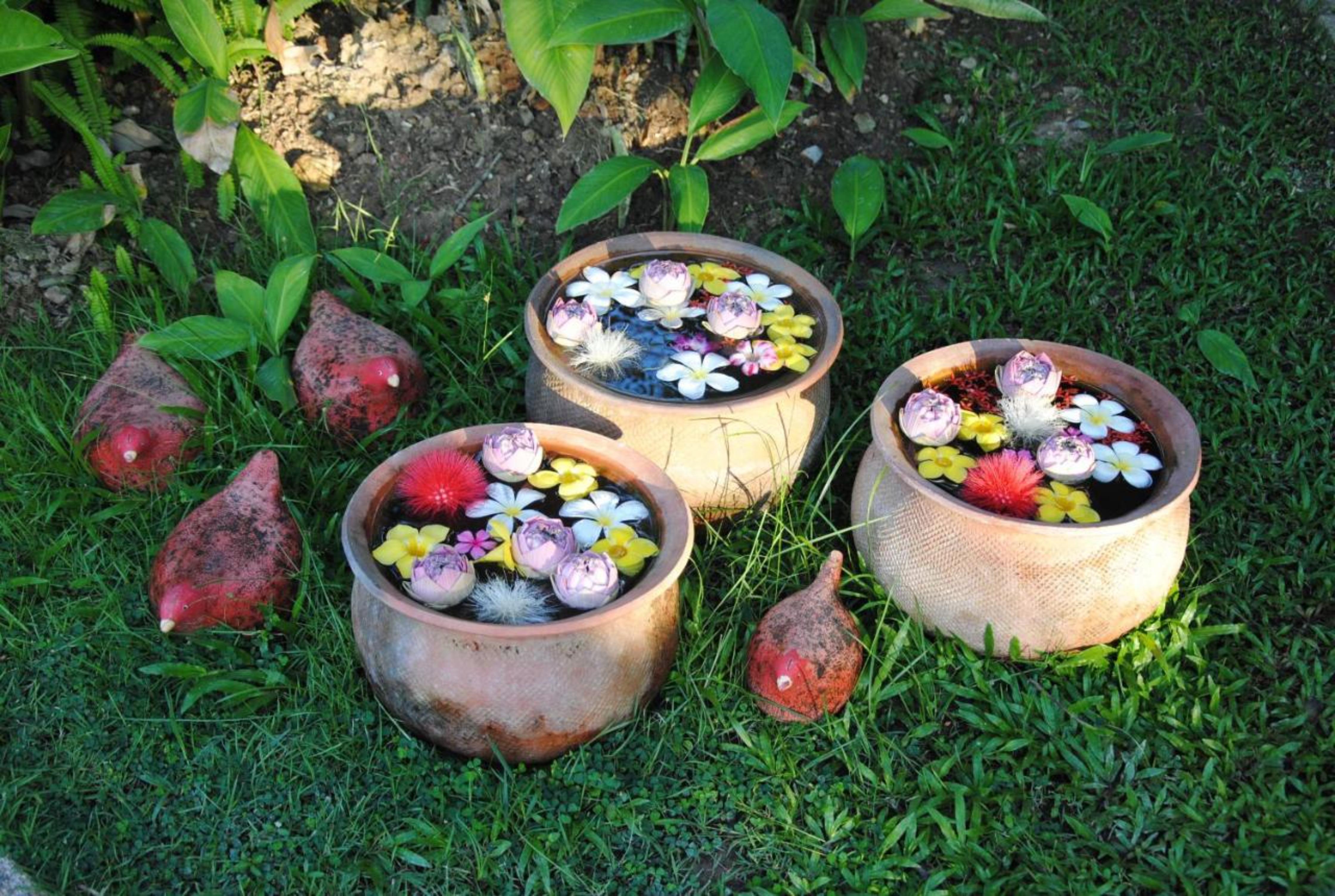 Baan Chai Thung Resort Doi Saket Luaran gambar